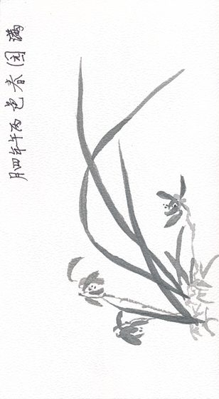 IMG 20261028 0018